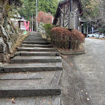 頑張れ！頑張れ！📣😆