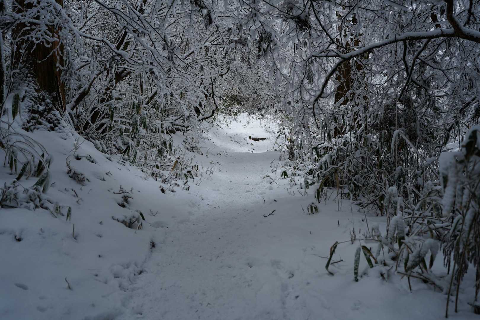 水越峠バス停-金剛山山頂売店-金剛山 縦走コースの写真