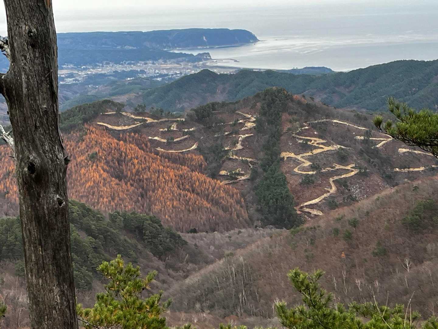 山に模様、なんだか素敵！山がモヒカン&タトウ状態。笑