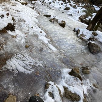 この凍り具合はチェンスパ効きません