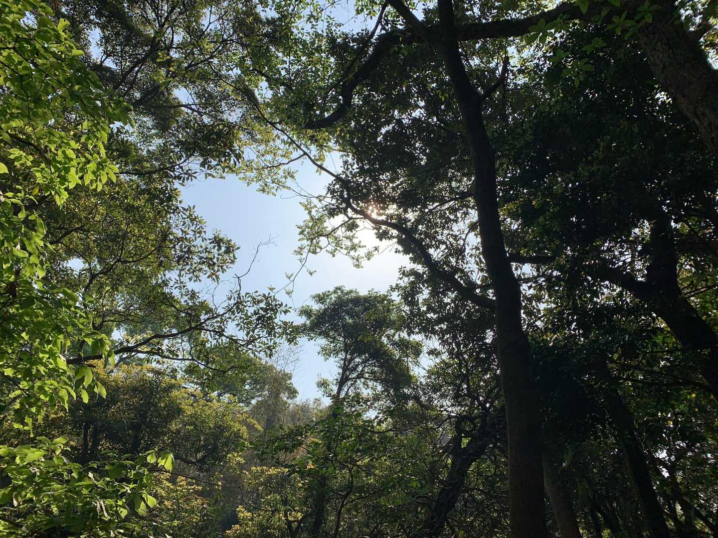 気持ちいい天気☀️