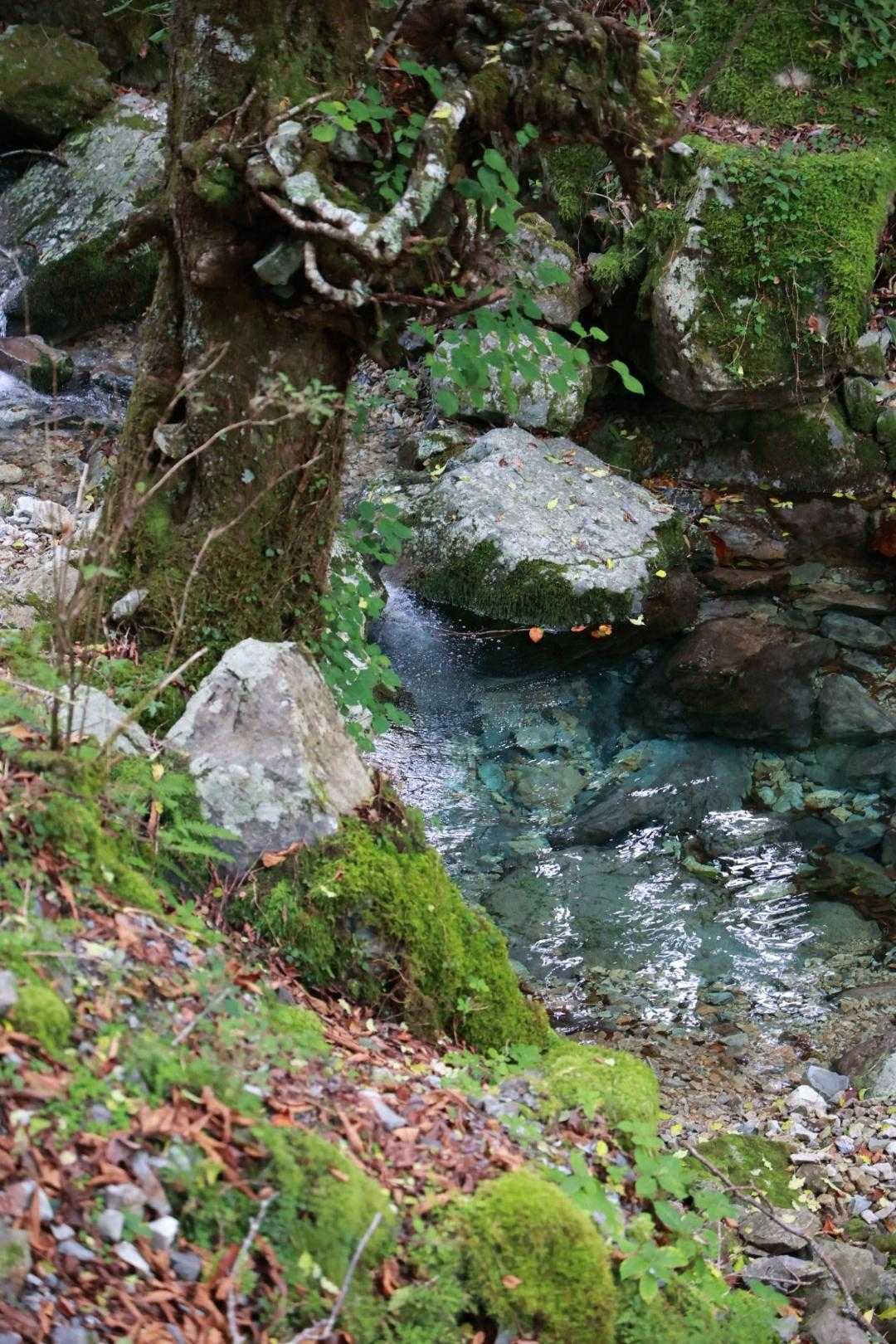 神秘的なブルー🩵