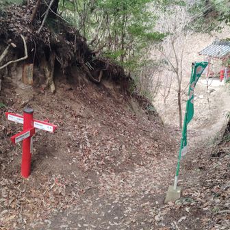 友達の後輩に権現くんが居ました