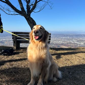 お名前忘れたー😭