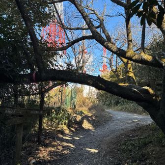 真っ直ぐ行くと生駒山ですが、鬼取山へ