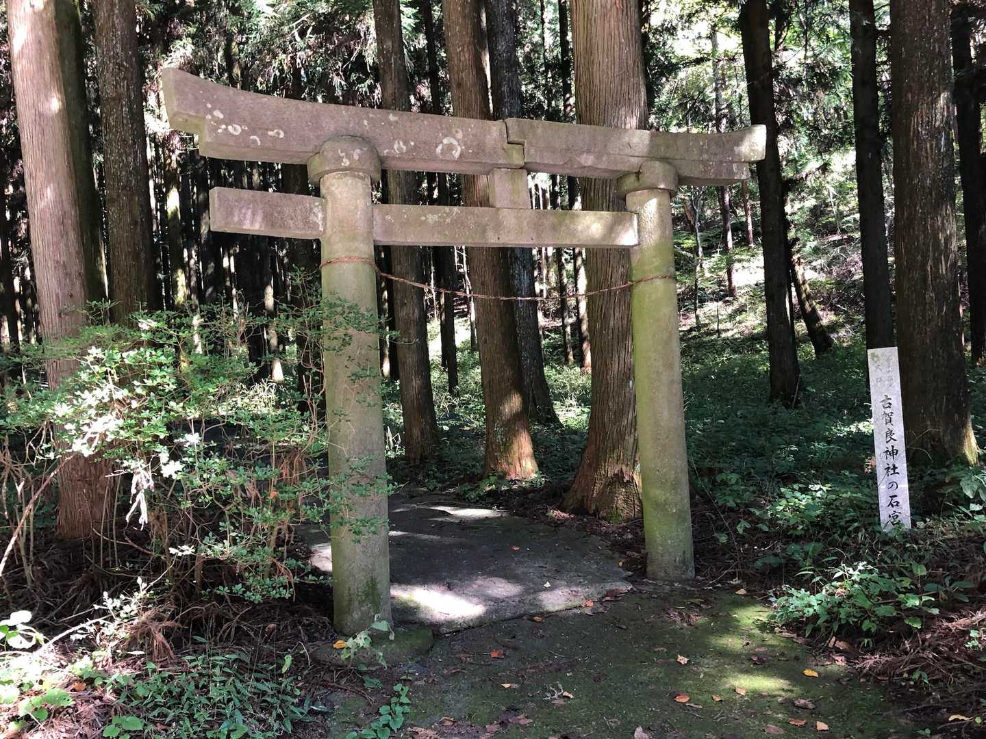 古賀良神社-古賀良山 往復コースの写真