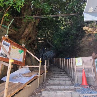 下山しました👣さて、お土産買って帰らなくては🚄