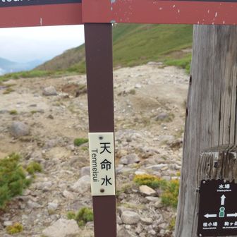 天命水をいただいていきます。