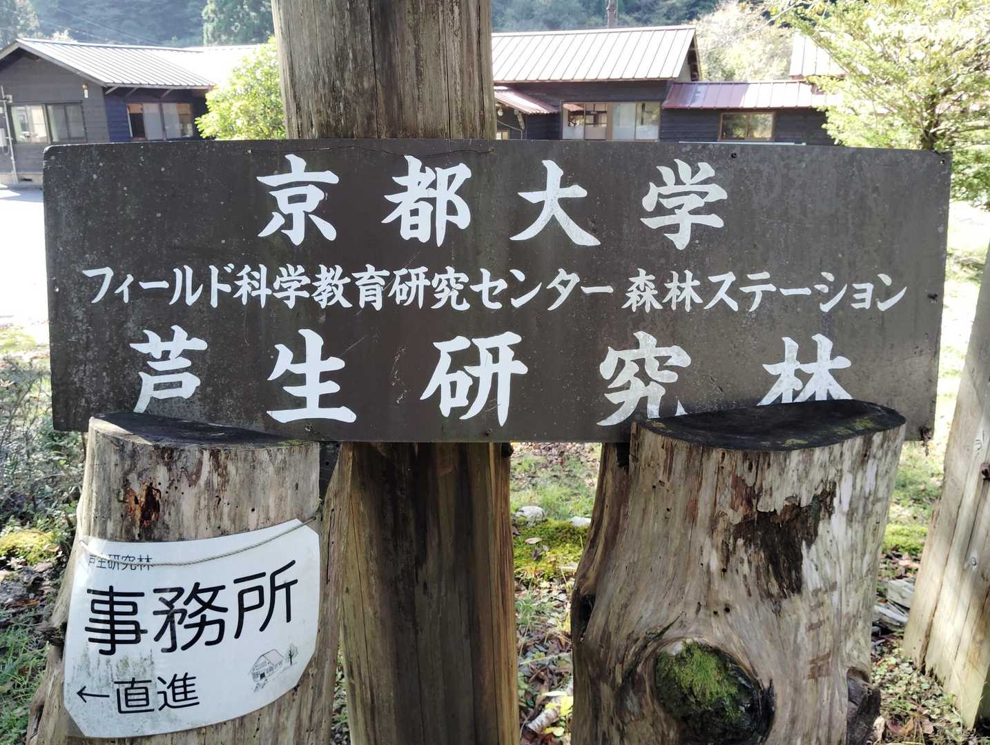 我が母校で有る京都大学😎 後輩たちが芦生原始林を守っている…😏…は！俺は大学なんて通ってへんやん！🥴