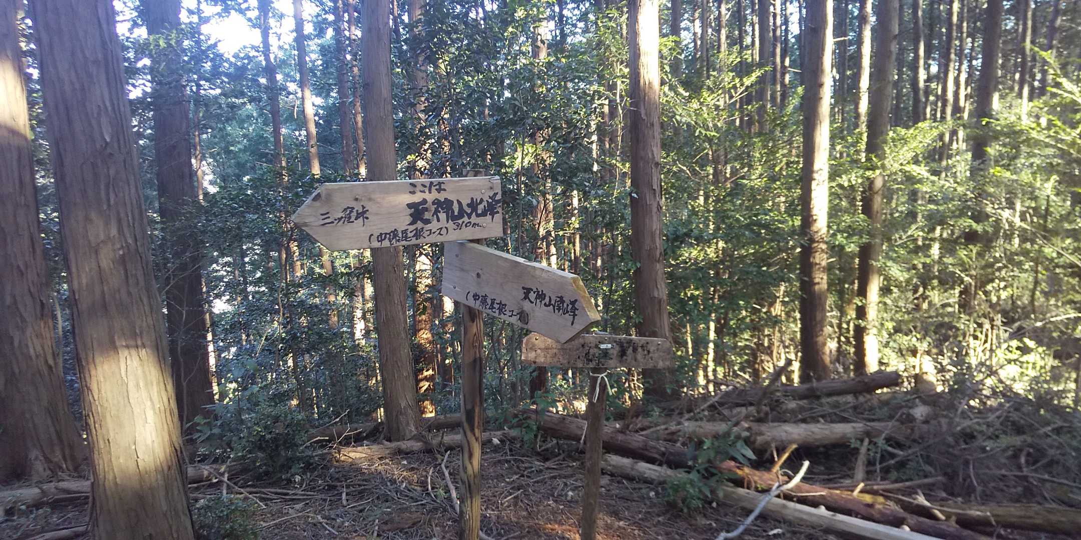 天神山（北峰）、ここで3座目のピークハント🎶
ピークハント毎に、写真は撮れません。
スマホ📱のバッテリー🔋が、ピンチ😵💦
スマホ、お前頑張ってるよなぁ😉