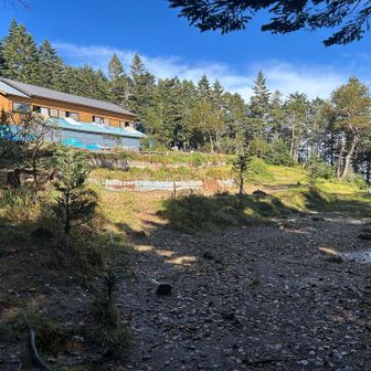 広いテント場⛺️