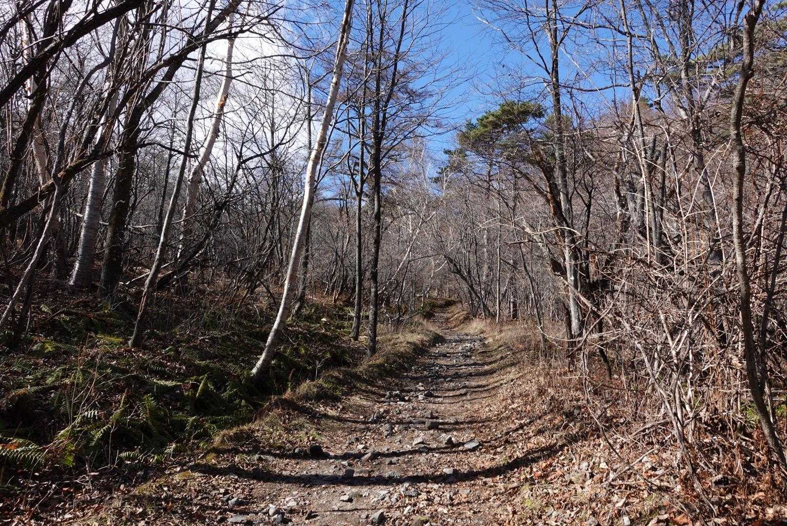 往復約4km、平坦な道からスタートです〜！
