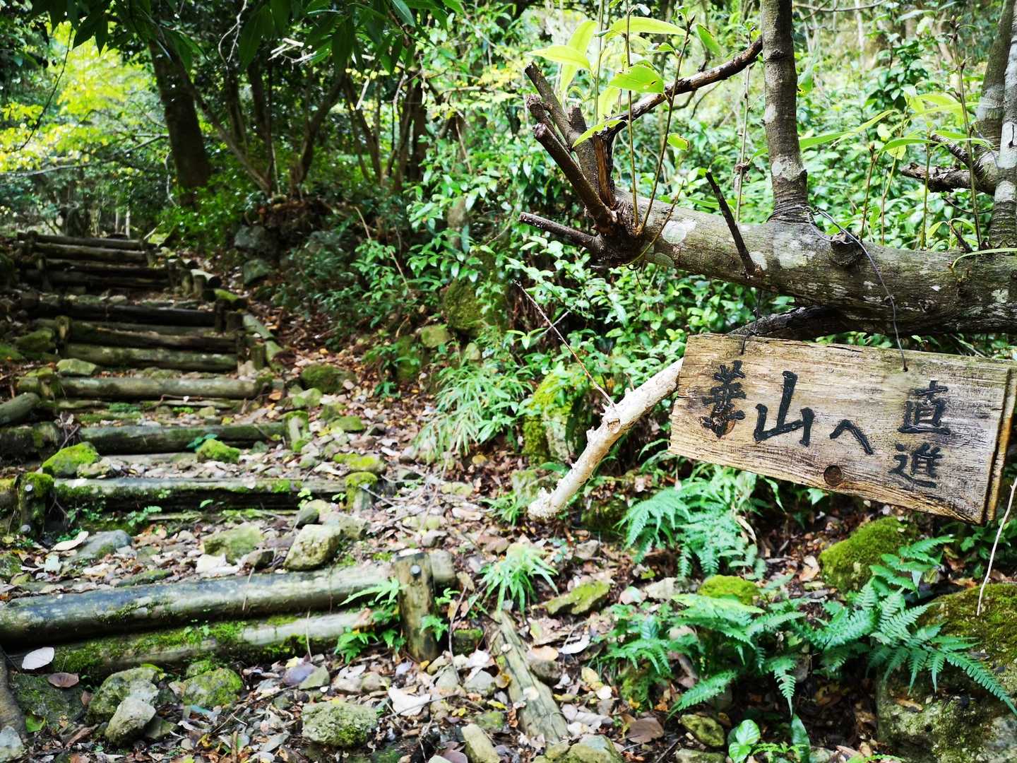 いよいよ登山道