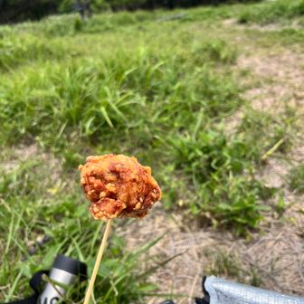 たけやぶさんの唐揚げ