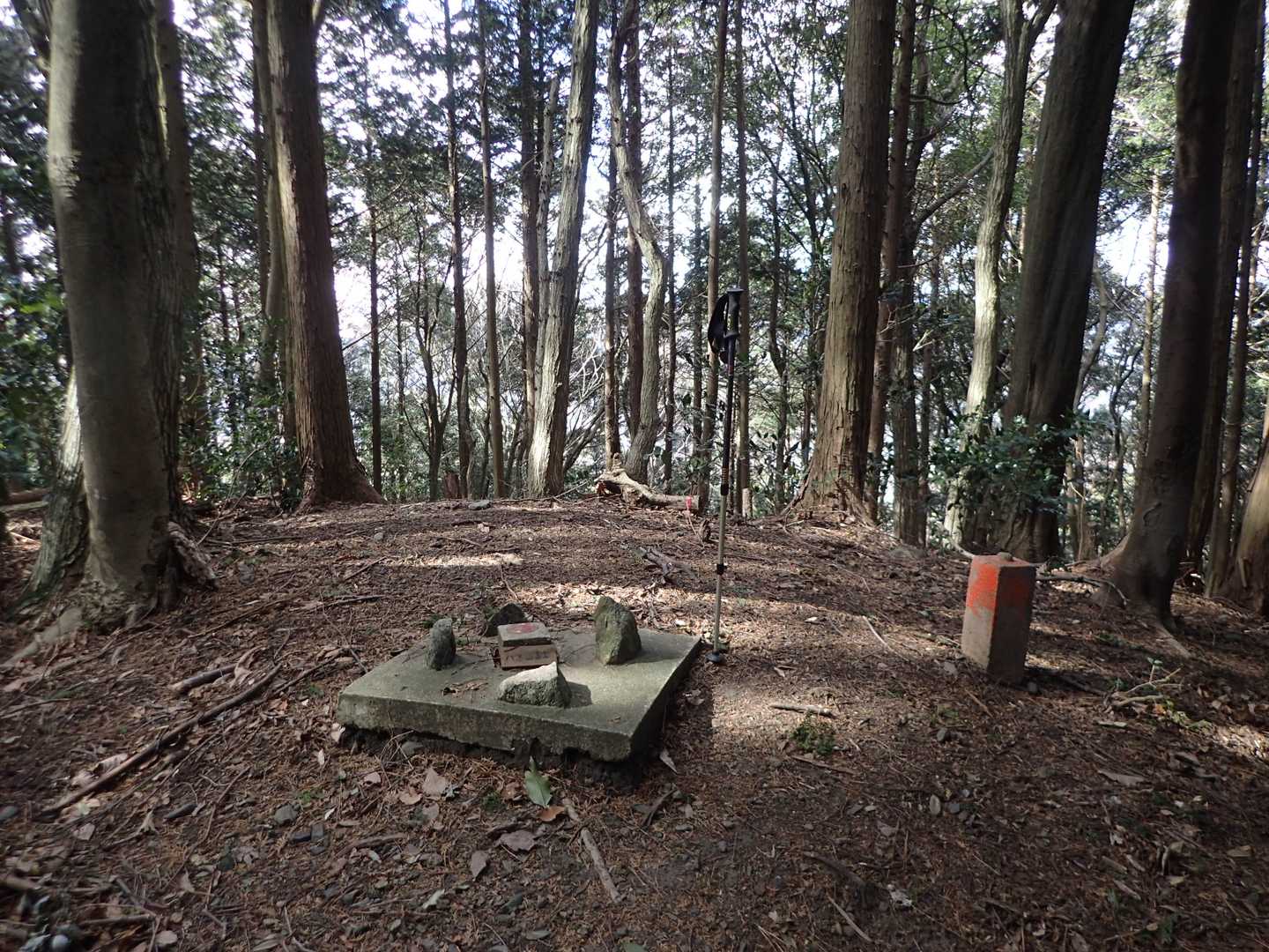 八木山富士山頂