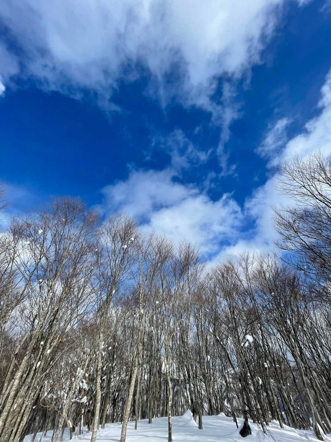 頂上に着いた頃には青空と太陽が出てきてくれました😃
