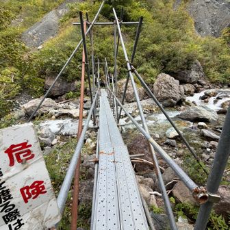 1人で歩いてね、橋。
下山はピストンではなく周回を選択しましたが、途中、おひとり様を追い抜いただけで貸切。
　その彼も「人に会えて嬉しい、くま鈴忘れたので怖くって」と同じ孤独を抱えて下山していたよう。
　「じゃ、ここからは一緒に下山しましょうか」
と気の利いた発言が出来ず山中、反省😫