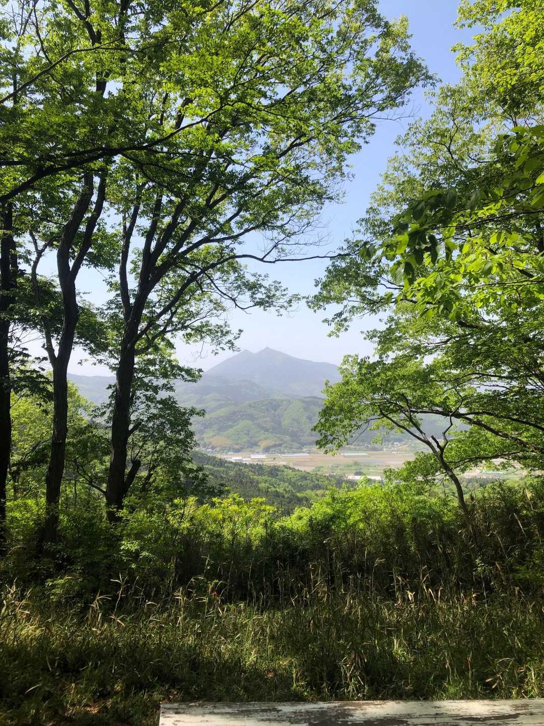 朝日里山学校-青木葉峠-青木葉山-浅間山-半田山 周回コースの写真