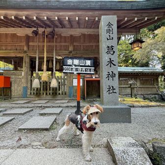 登ったどうー
