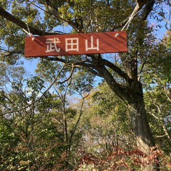 看板新しいし前より大きい！