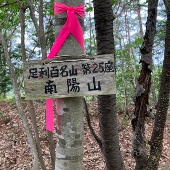 足利百名山　南陽山⛰️