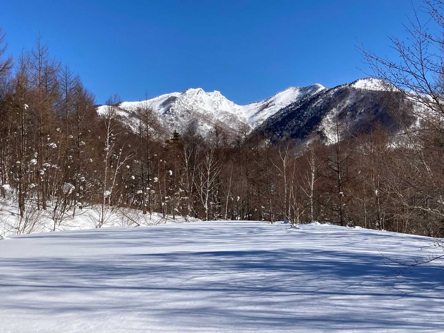 高手山 往復コースの写真