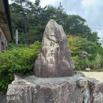 着いた（いつもここを山頂と思ってる）