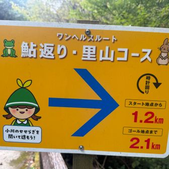 当時はこんなんできとるやーん😄
ぐらいやったんですが…