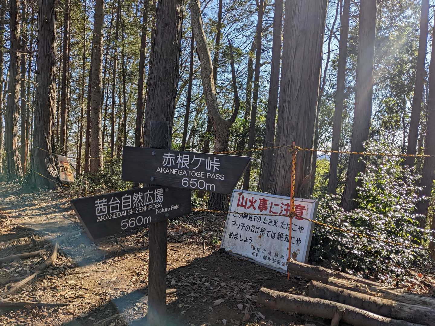 赤根ヶ峠を目指します👉