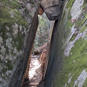 岩の細いトンネルをくぐって岩石山第1ルート登山口へ下りて行きます。

国見岩や獅子岩や梵字岩も撮りましたがよくレポにあがっているので割愛😂

青空が映える岩の写真が撮れましたー🤣笑