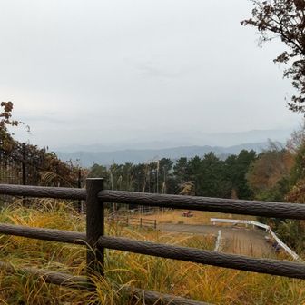 高指山からの展望