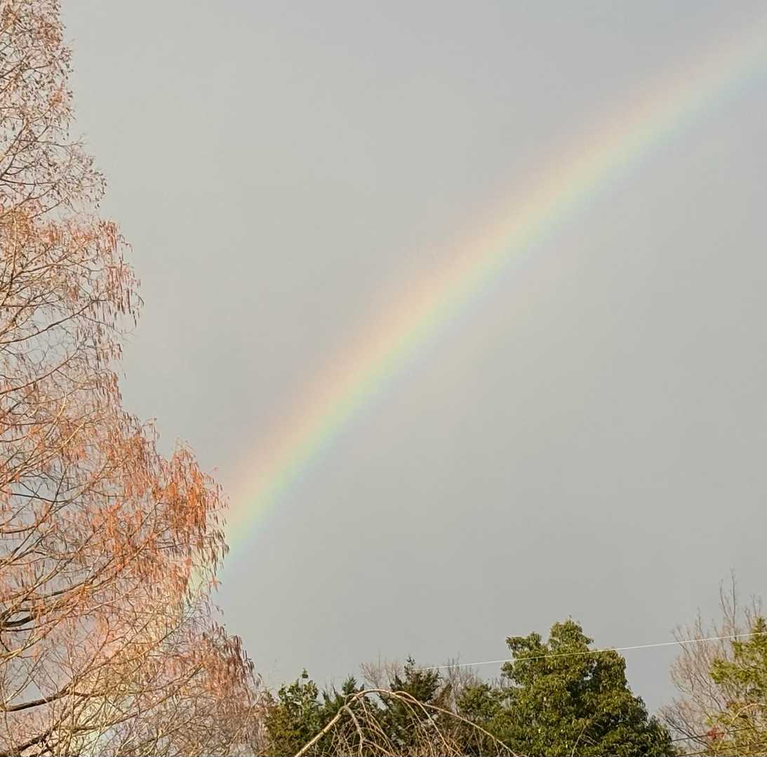 霧雨の中、突然🌈が🤩