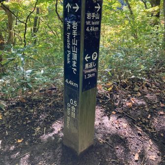 かなり降りてきました。