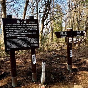 登頂その4。途中いくつもプチピークがあってアップダウンが多かったけど、ここで終了。あとはひたすら下ります