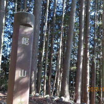 鋸山山頂。
疲れた😓。