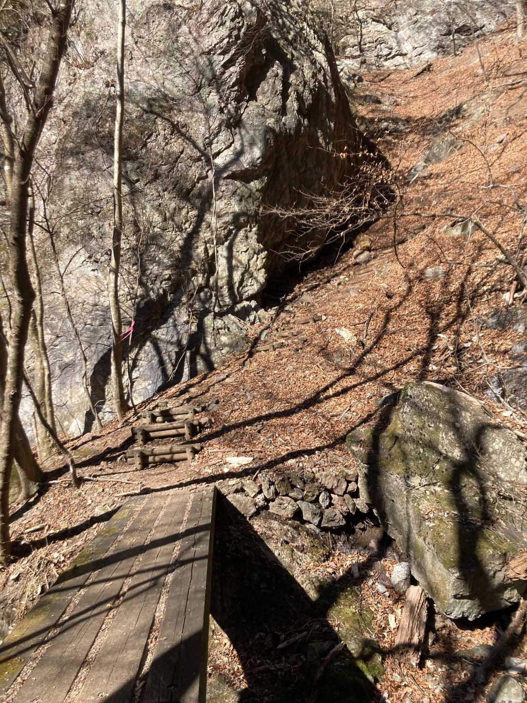 東コース入口-赤久縄山 往復コースの写真