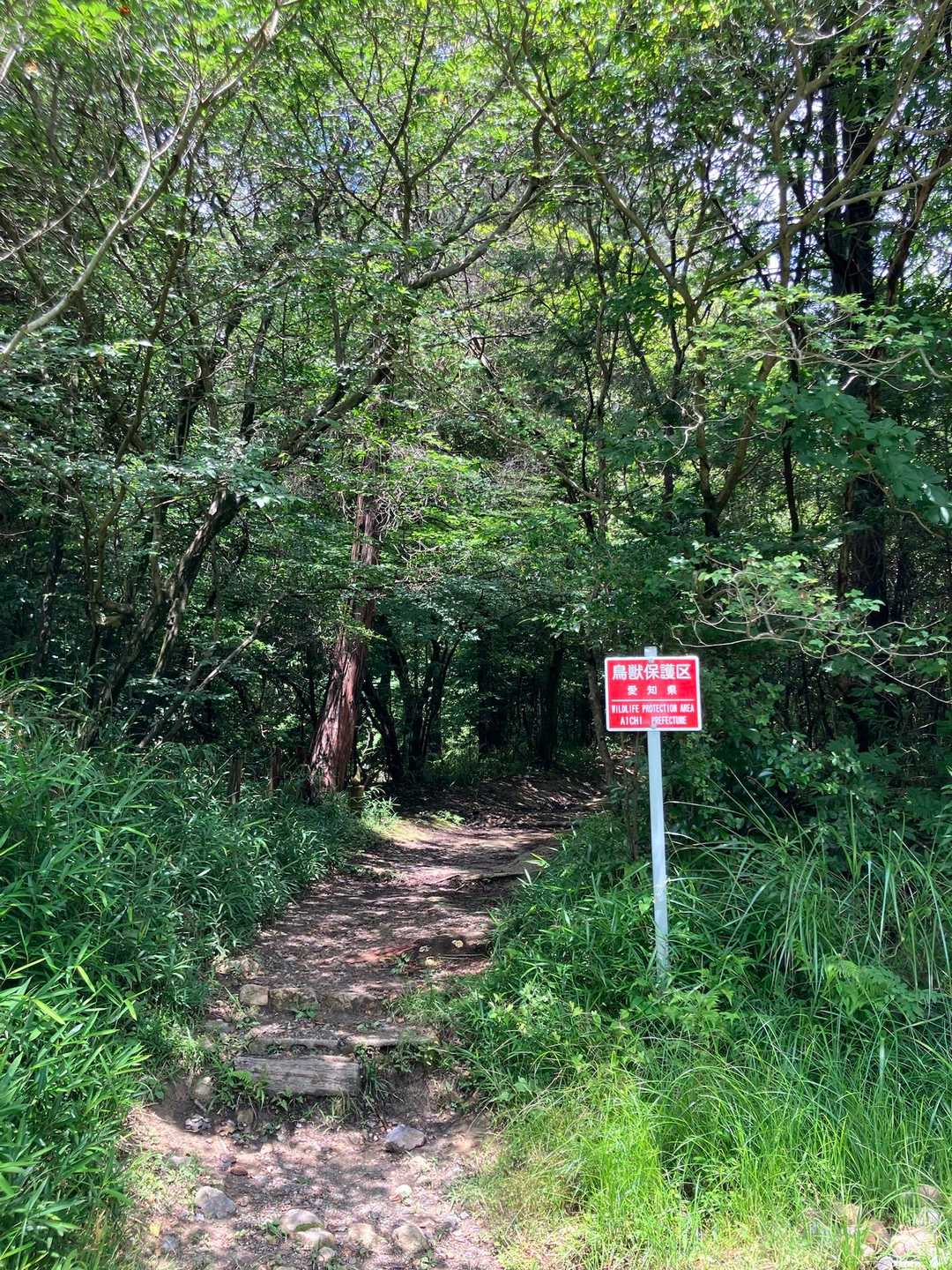 鬱蒼とした感じの樹林帯に入ります😊