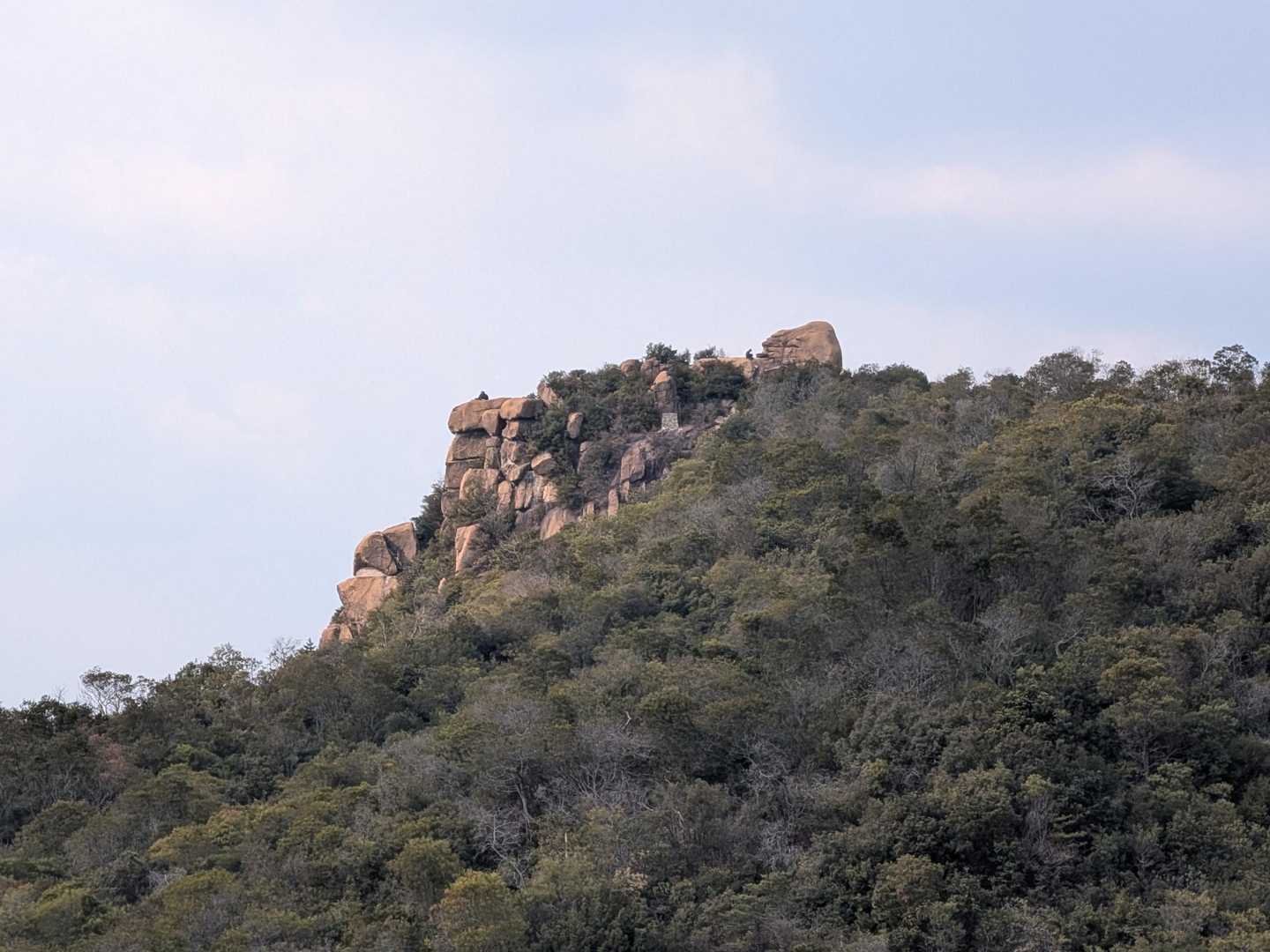矢出山-新割山 往復コースの写真