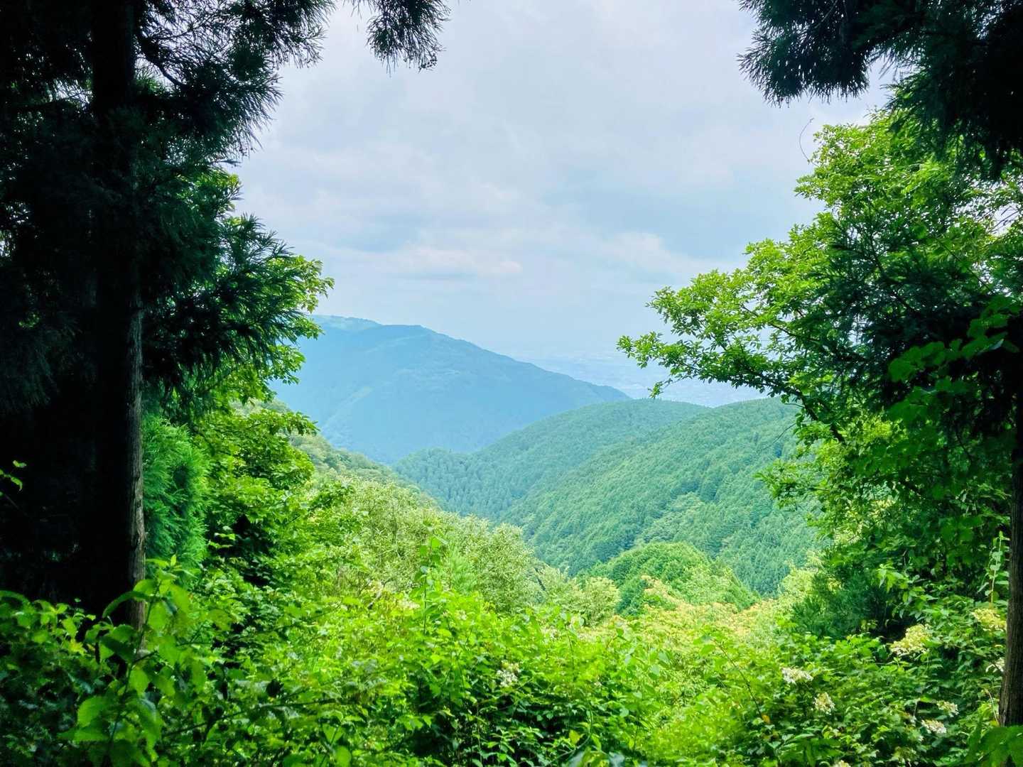 葛城山が見える😊