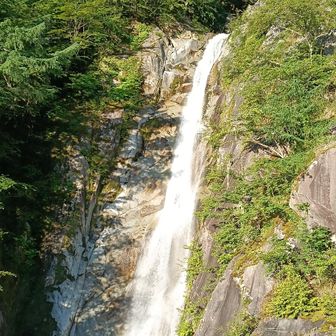 素晴らしい。