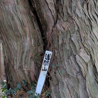 ココにもちっちゃく…