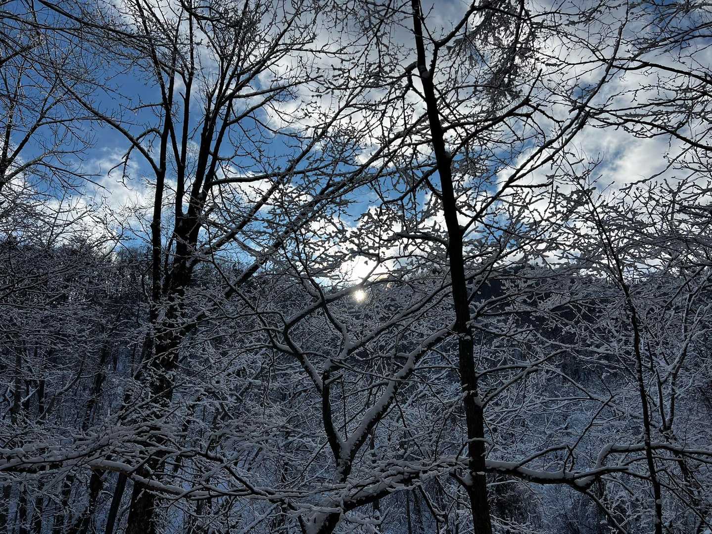今年はどんな一年になるのかな