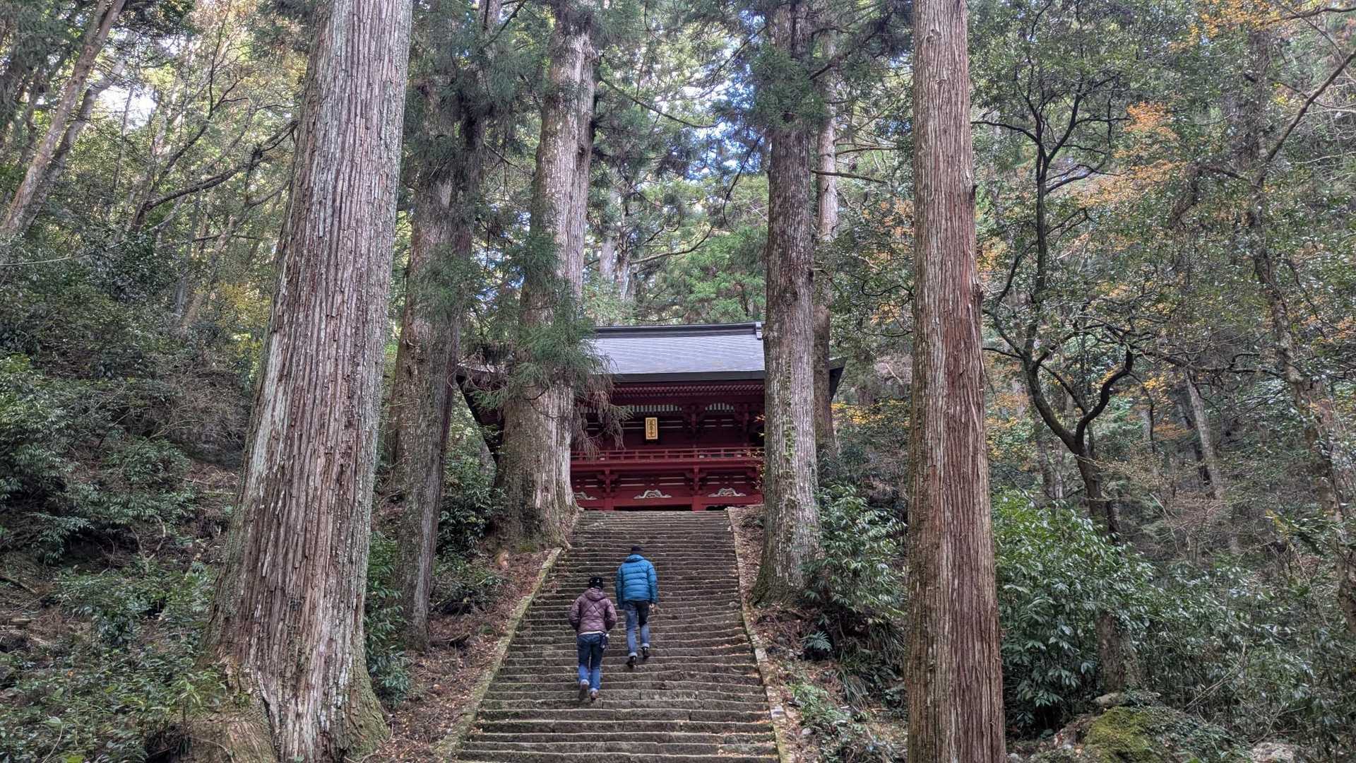 今年の登りはなぜか辛くなかった