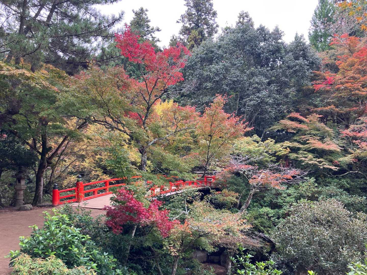 弥山登山道入口-紅葉谷橋-弥山 周回コースの写真