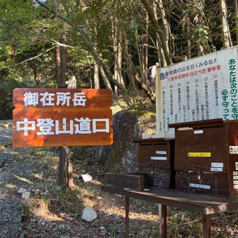 今日は必ず地蔵岩を通過する必要があるので、中道ルート一択🪨