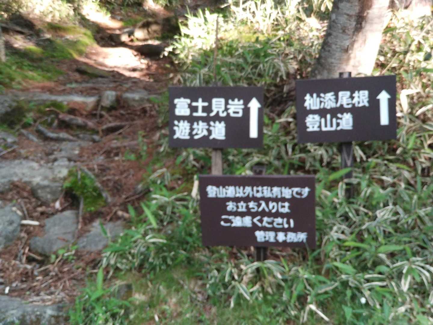 ここから杣添尾根登山口まで結構歩く