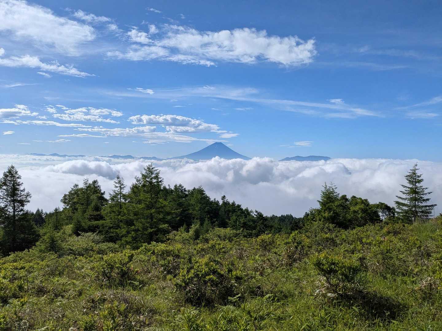 富士山しっかり見えた🗻