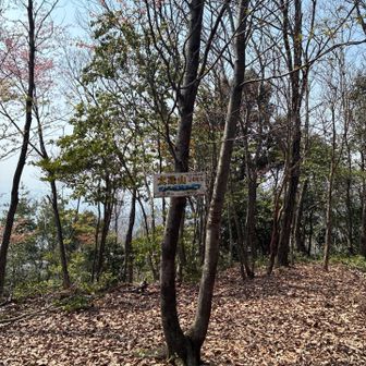 頂上に着きました！！
こんなに整備されているお山なのに登山者誰もいなかった🤣
全ルート、貸切でした💦

