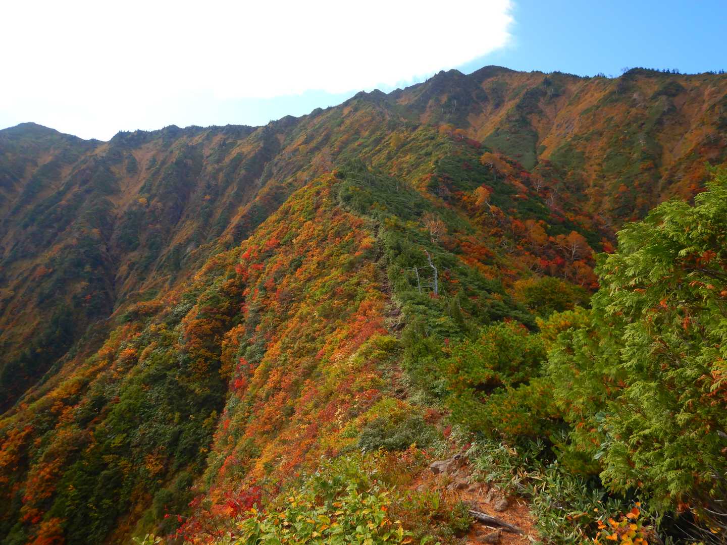 うひょう。