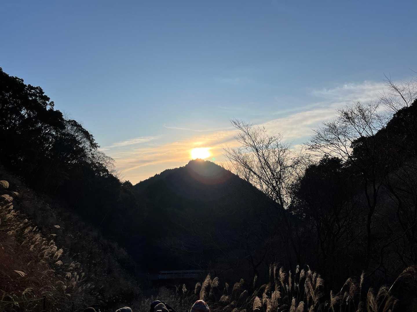 振り返るとダイヤモンド朝日